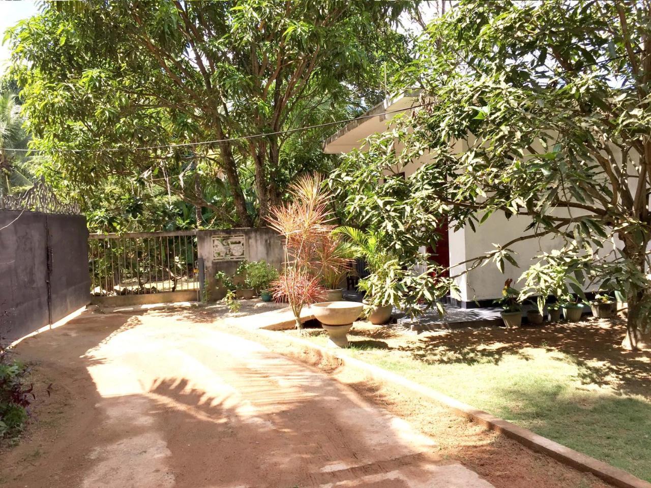 Damith Tourist Inn Mirissa Ngoại thất bức ảnh